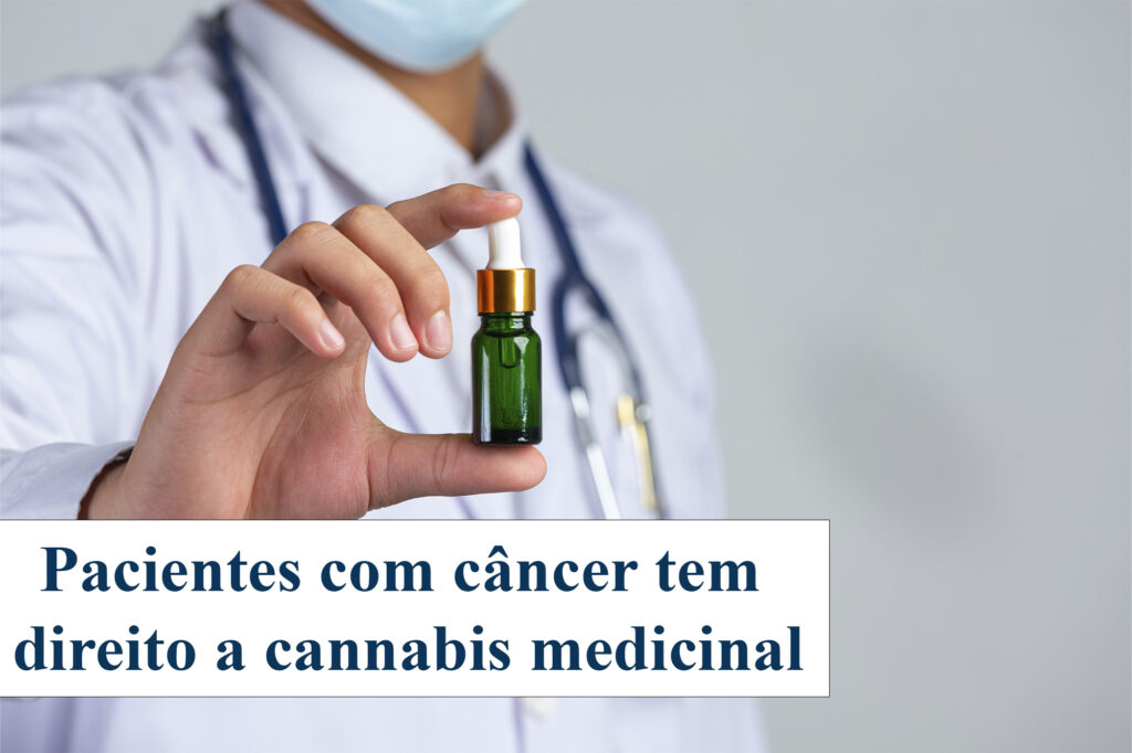 Pacientes com câncer podem conseguir direito a se tratar com cannabis medicinal no Brasil.